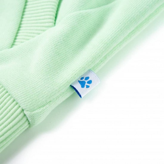 Vaikiškas sportinis megztinis su gobtuvu ir užtrauktuku, žalias, 128