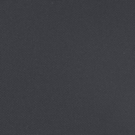 Ištraukiama šoninė markizė, juodos spalvos, 180x600cm