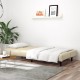 Dvivietė sofa-lova, kreminės spalvos, aksomas